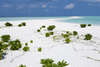 Kuramathi Blue Lagoon 